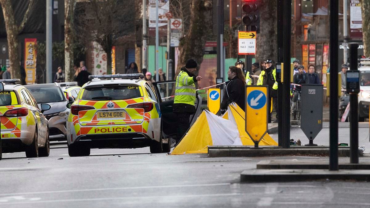 Pedestrian, in his 30s, dies after being hit by police vehicle on 999 call on near Borough Market