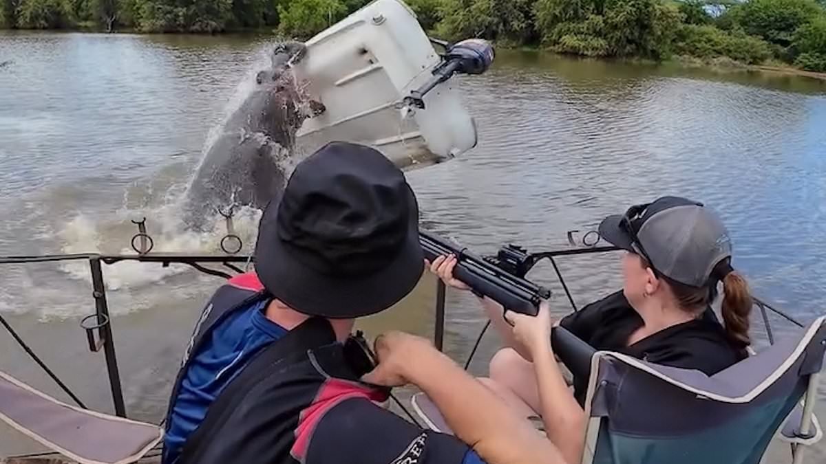 Terrifying moment hippo capsizes boat and attacks ranger who manages to cheat death as his father looks on