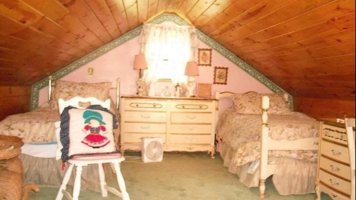 Grim photos of Timothy Busfield's Catskills cabin in its original dilapidated state when purchased re-emerge amid FBI raid after arrest