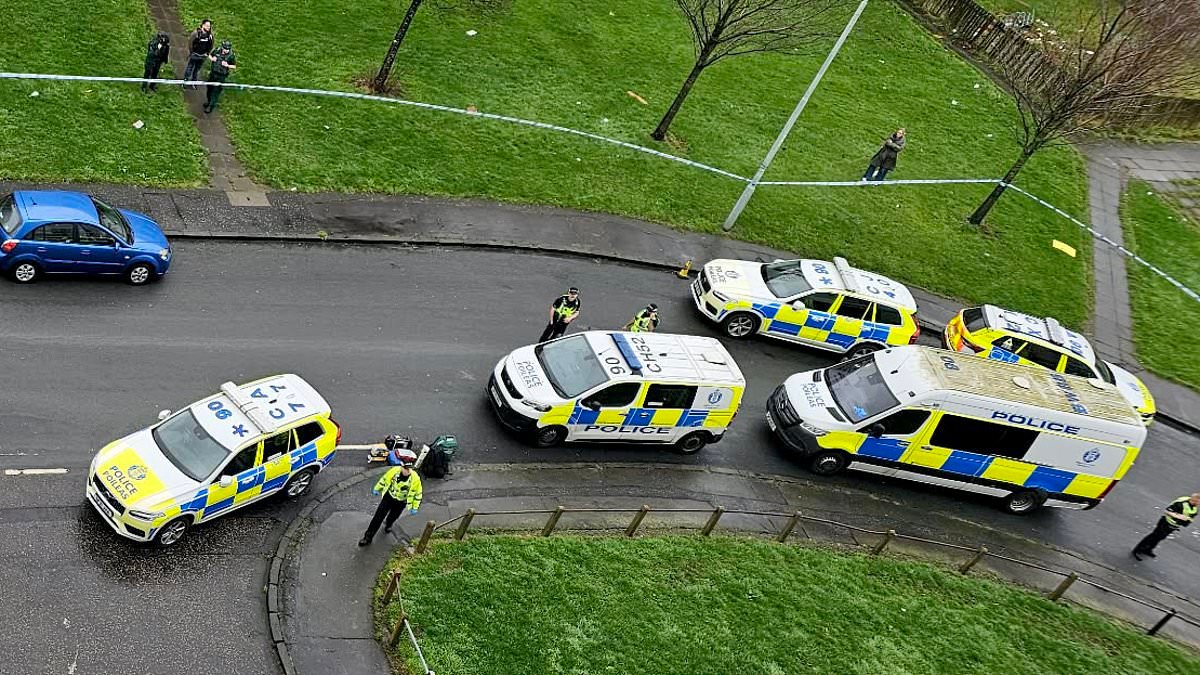 Armed police race to Edinburgh neighbourhood where knifeman seen brandishing two weapons