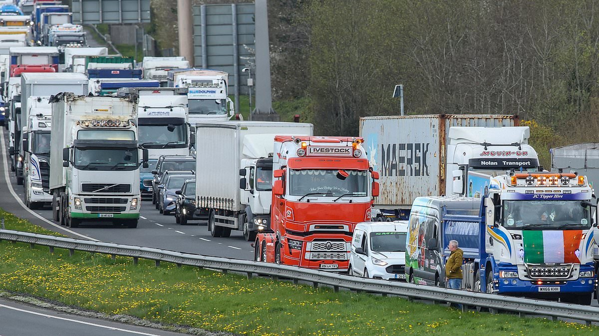 Petrol panic-buying hits Ireland as fuel price protests leave forecourts on the verge of running dry