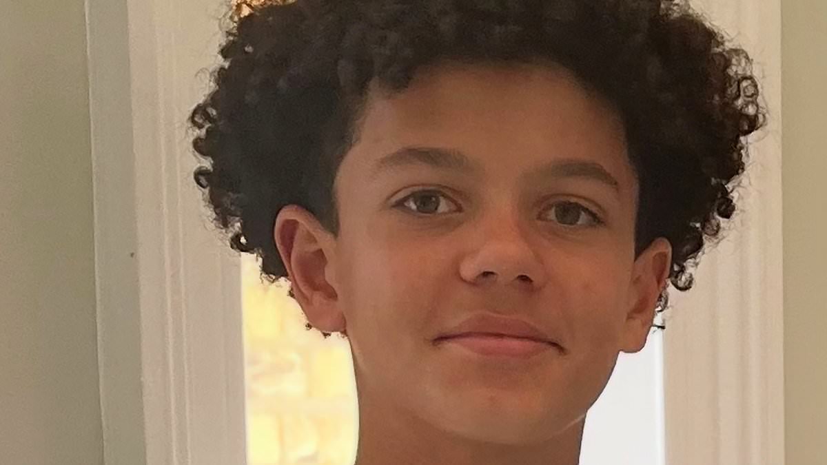 Boy, 13, killed after 'car struck three teens on bikes and scooter' is pictured: Man, 24, and woman, 23, are charged