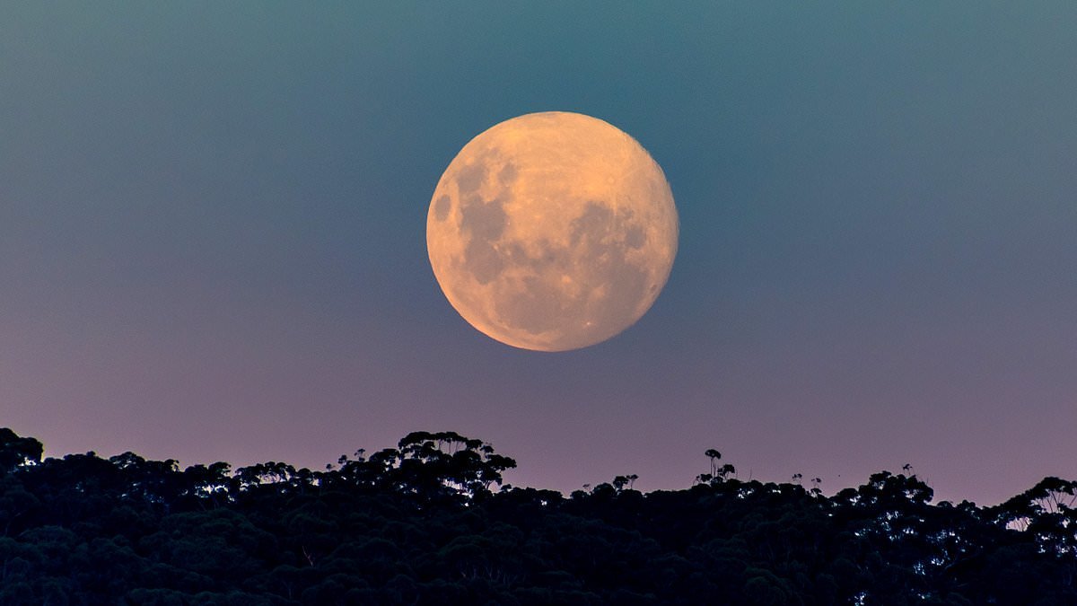 What is the 'Pink Moon' and what does it mean for YOU? Astrologer reveals how one sign must finally have a difficult conversation, while another will have luck in love