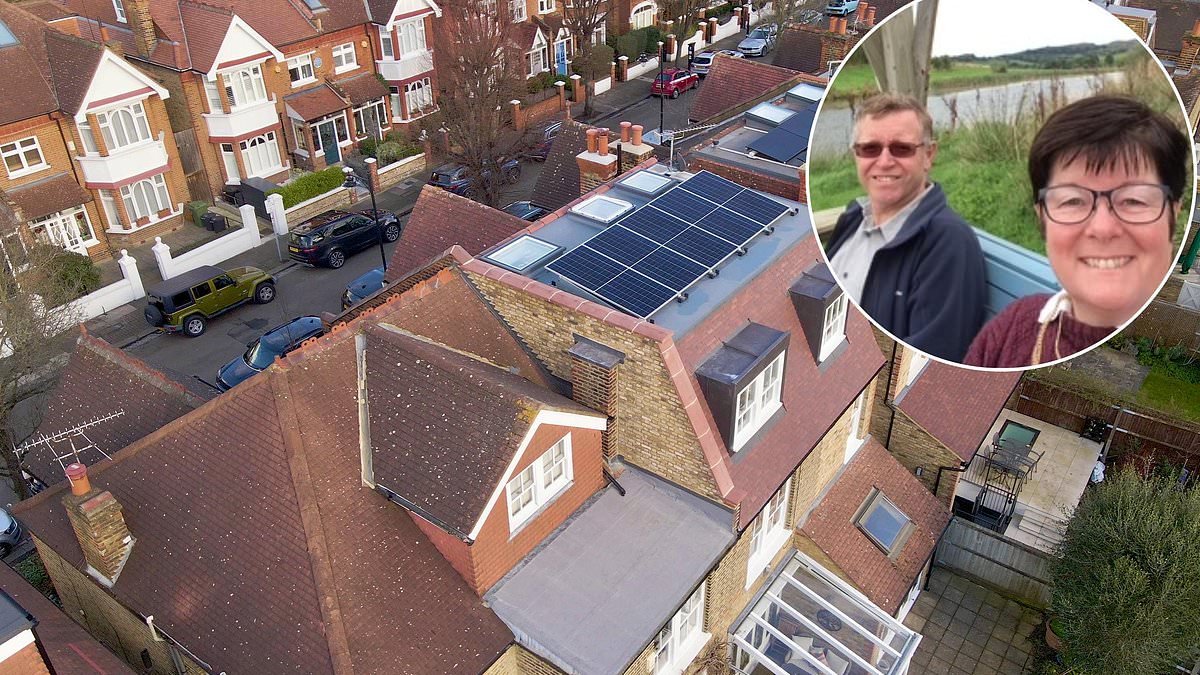 'We got solar panels and pay NO bills': Green energy enquiries surge as households fear price spike