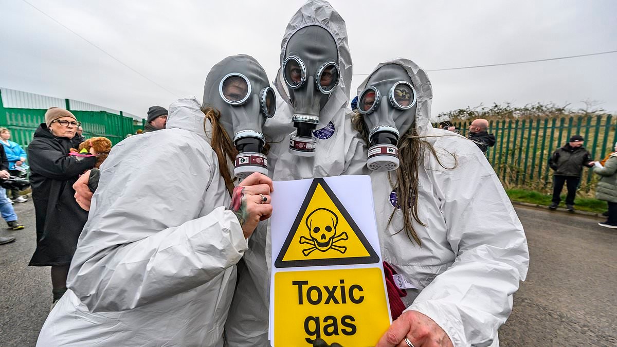 Inside the holiday town that's being plagued by the 'smell of rotten eggs' where 'children get sick' and locals are too scared to walk their dogs