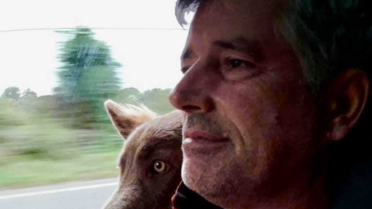 Christian farmer who secretly turned a barn into a hidden home and lived with livestock is to be evicted after his 98-year-old neighbour complained