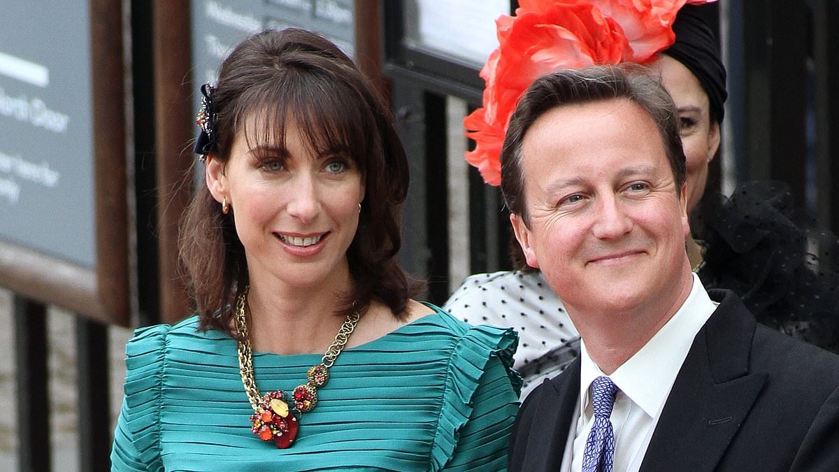 Under-fire Andrew Mountbatten-Windsor used Prince William's wedding to shore up his position as UK trade envoy - including 'supportive chat' with ex-PM David Cameron