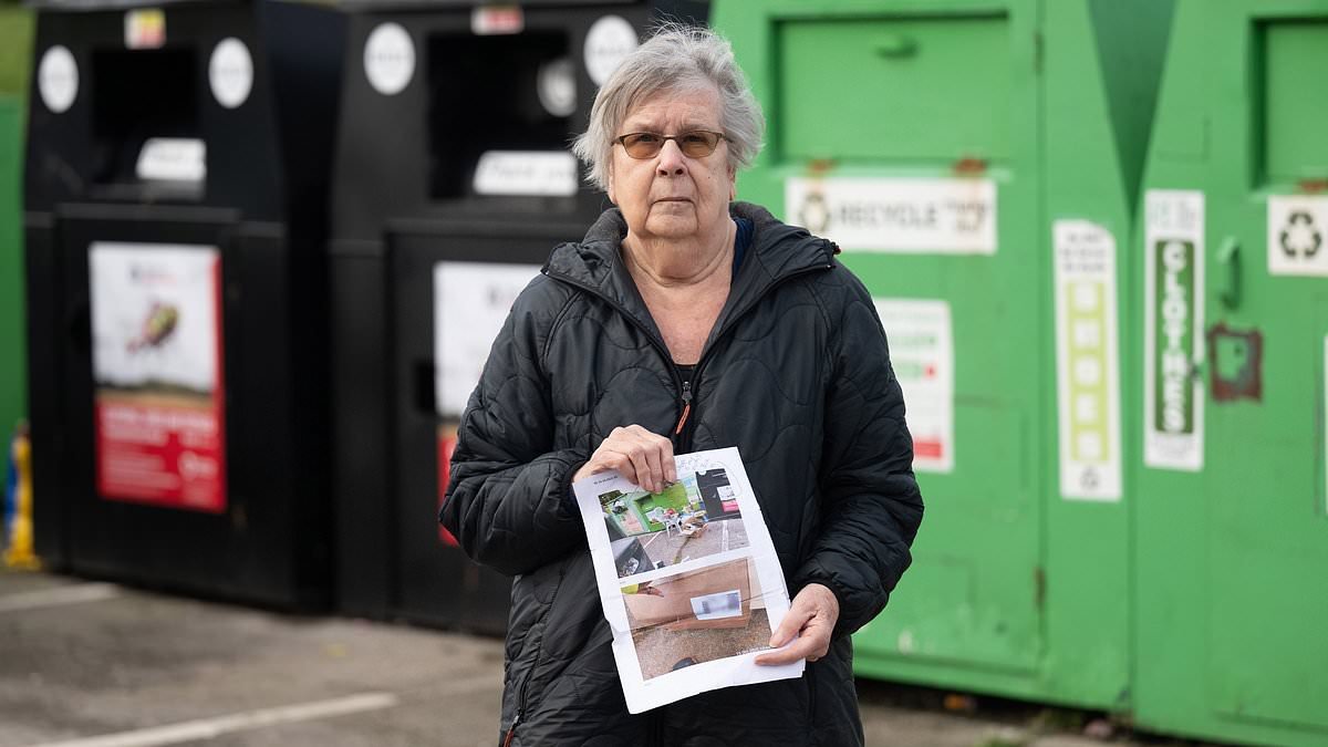 Grandmother, 83, is threatened with criminal conviction if she does not pay £600 fine for 'fly-tipping' a single cardboard box