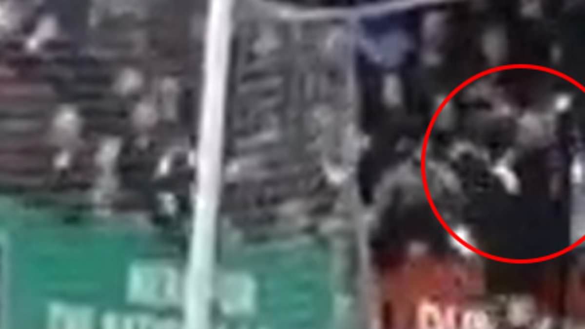 Shocking moment goalkeeper 'PUNCHES a rival fan' behind the goal during match before being escorted off the pitch by security at full-time