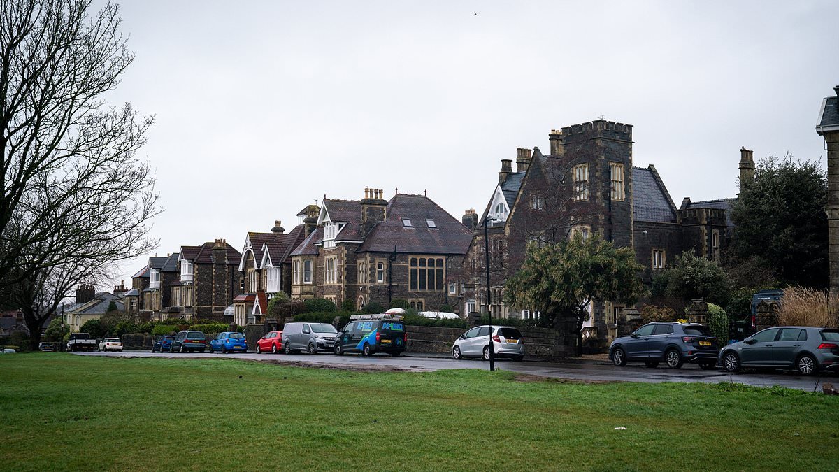 How 'woke' killed Bristol: Residents in UK's 'trendiest city' say that noisy pro-Palestine activists rule the roost whilst out-of-control crime gangs loot with abandon