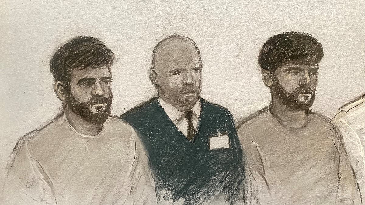 Police make new arrest over Golders Green 'arson' that saw four Jewish community ambulances set on fire - as three appear in court over attack