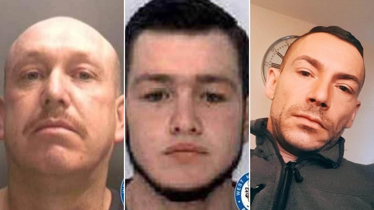 Roofer admits killing mother of three who was killed on golf course by van in police chase