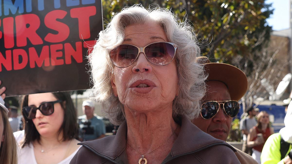 Jane Fonda lashes out at Trump outside Don Lemon's court hearing: 'They arrested the wrong Don!'