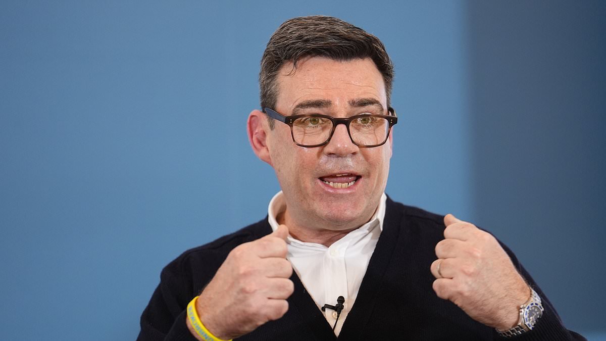 Burnham? He may be too Northern to be Prime Minister... says one of his OWN allies