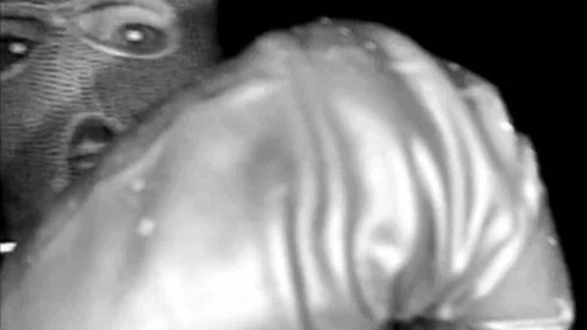 Nancy Guthrie investigators find black glove near her home that looks just like one worn by abductor in terrifying doorbell camera footage