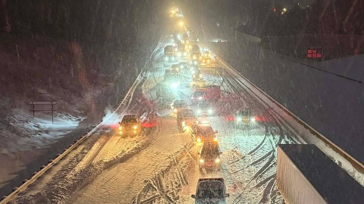 Snow in FLORIDA as 'bomb cyclone' wreaks carnage across south east with worst blizzards in decades