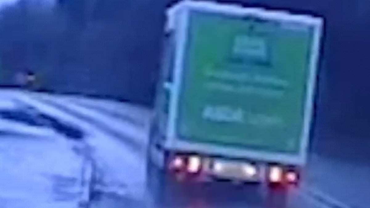 Moment grinning cocaine-fuelled thief leads police on chase in stolen Asda delivery van - as he is jailed for more than two years