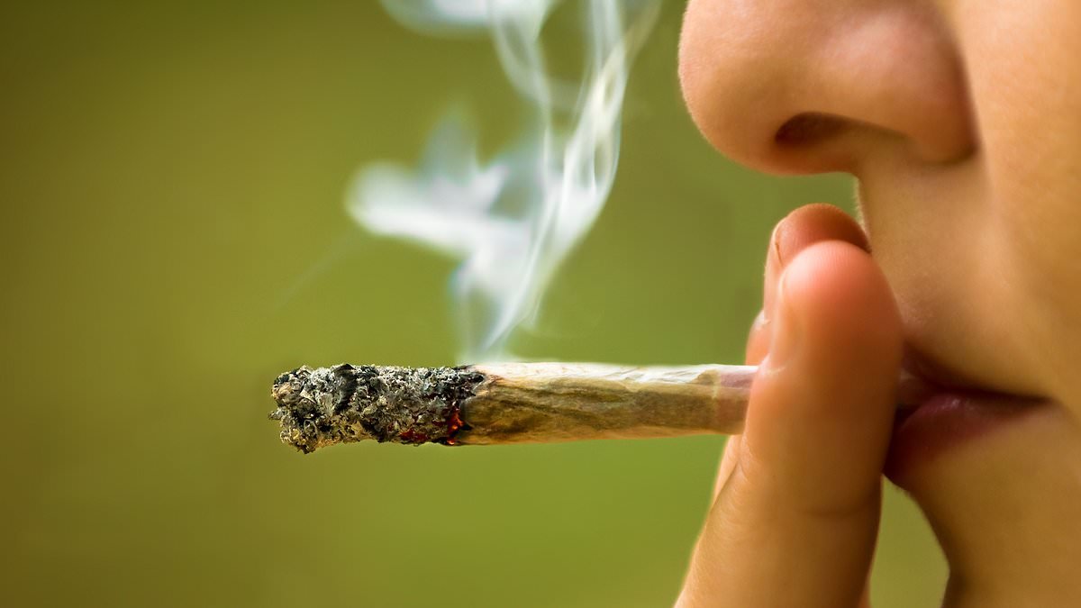Long-term cannabis use 'changes brain structure and leaves users demotivated, unable to make decisions and struggling to deal with complex tasks'