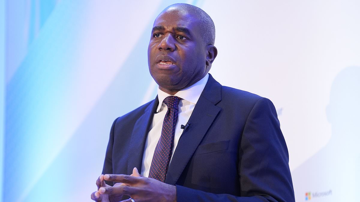 AI object, Your Honour! Immigration judges are using chatbots to check and draft rulings to deal with record court backlog