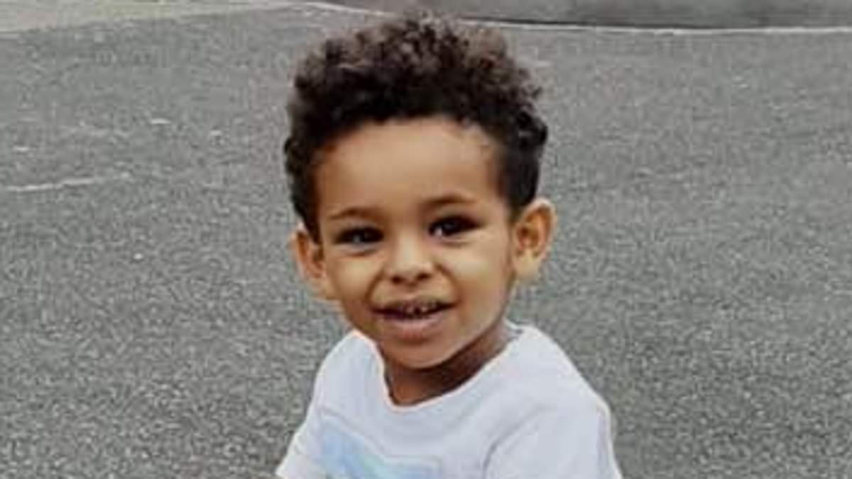 Driver told police boy, five, 'touched external sensor' and electric car 'jumped forward' and killed him, court hears