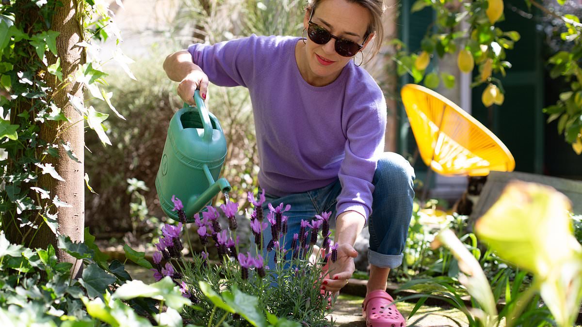 Spring has sprung! April is the 'most important month on the gardening calendar' according to the experts... here are the tasks to do now and what to AVOID (plus the buys that will give you a flourishing yard!)