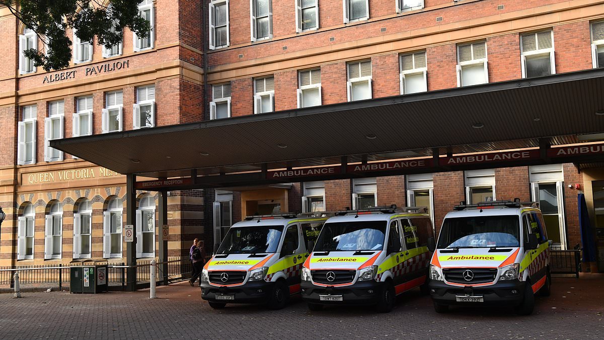 Man fighting for life after alleged horror hammer attack by woman while in Sydney hospital bed