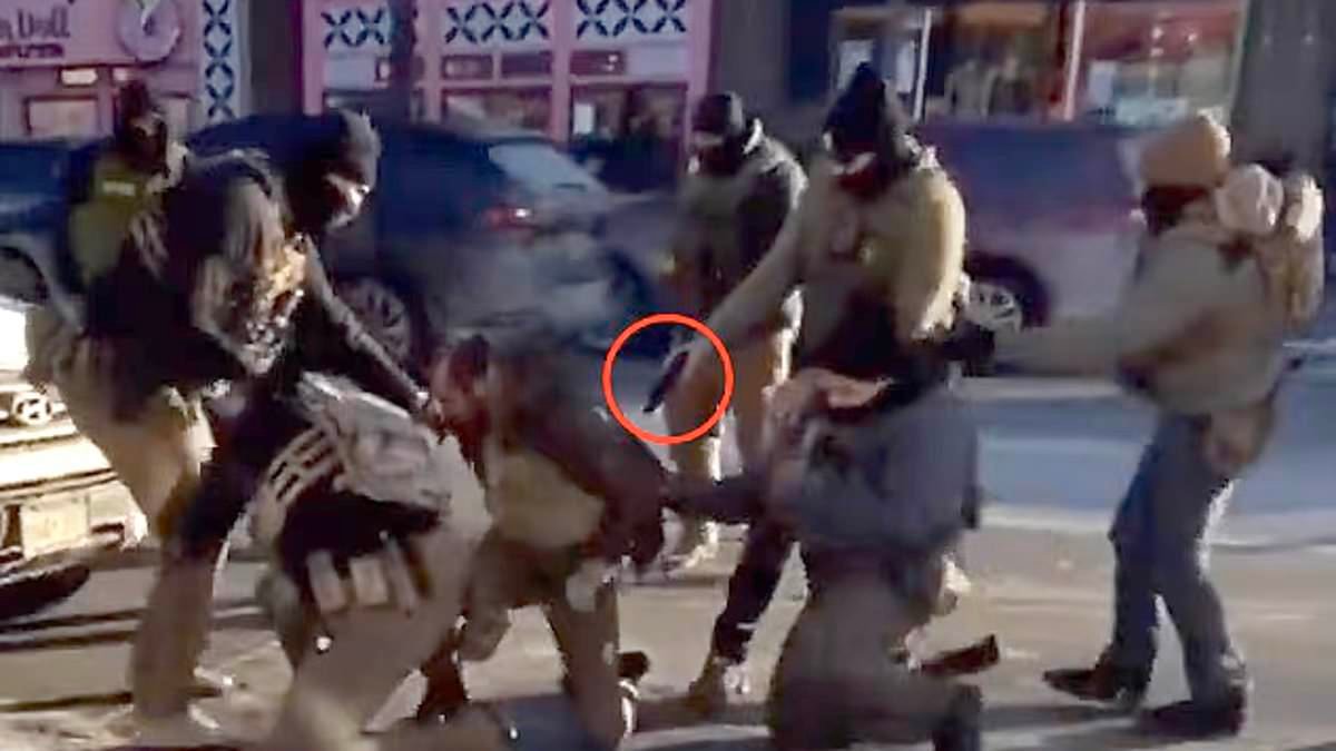 Was he a threat or was he shot dead AFTER his gun was taken? Witnesses who saw ICU nurse Alex Pretti killed by Border Patrol insist he was holding a camera - yet officers had 'no choice but to fire'