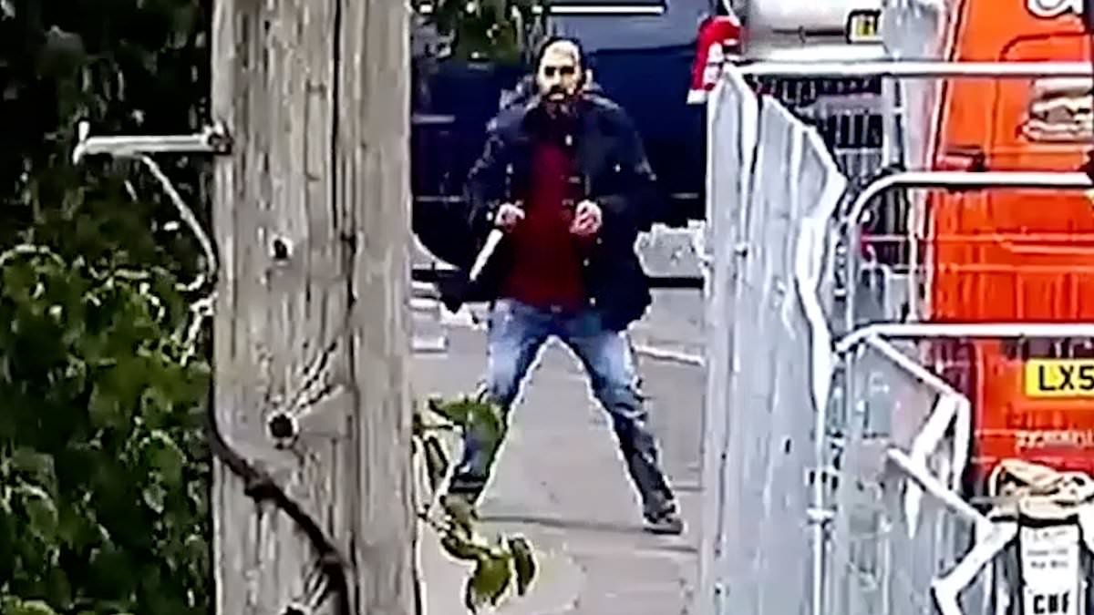 Moment hero Apprentice star bravely intervenes as 'floridly psychotic' knifeman randomly attacks pedestrians - as attacker is jailed