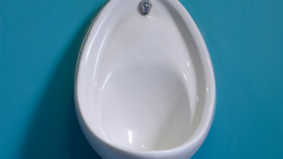 Why MEN should use toilet paper after peeing: Doctors back viral hygiene advice from male health influencers
