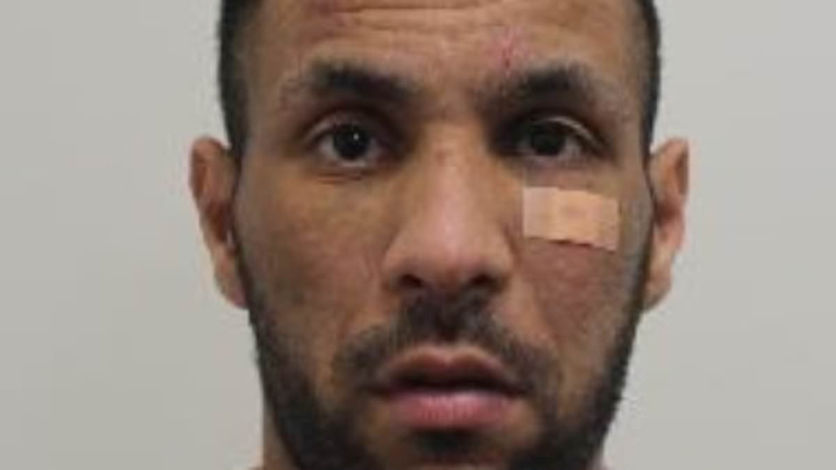 Algerian thief admits stealing handbag containing Faberge egg and watch worth £2million from whiskey firm boss in West End