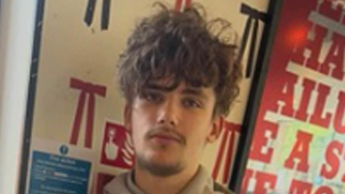 Teenager, 16, dead after car ploughed into him on pedestrian crossing: Man, 18, arrested