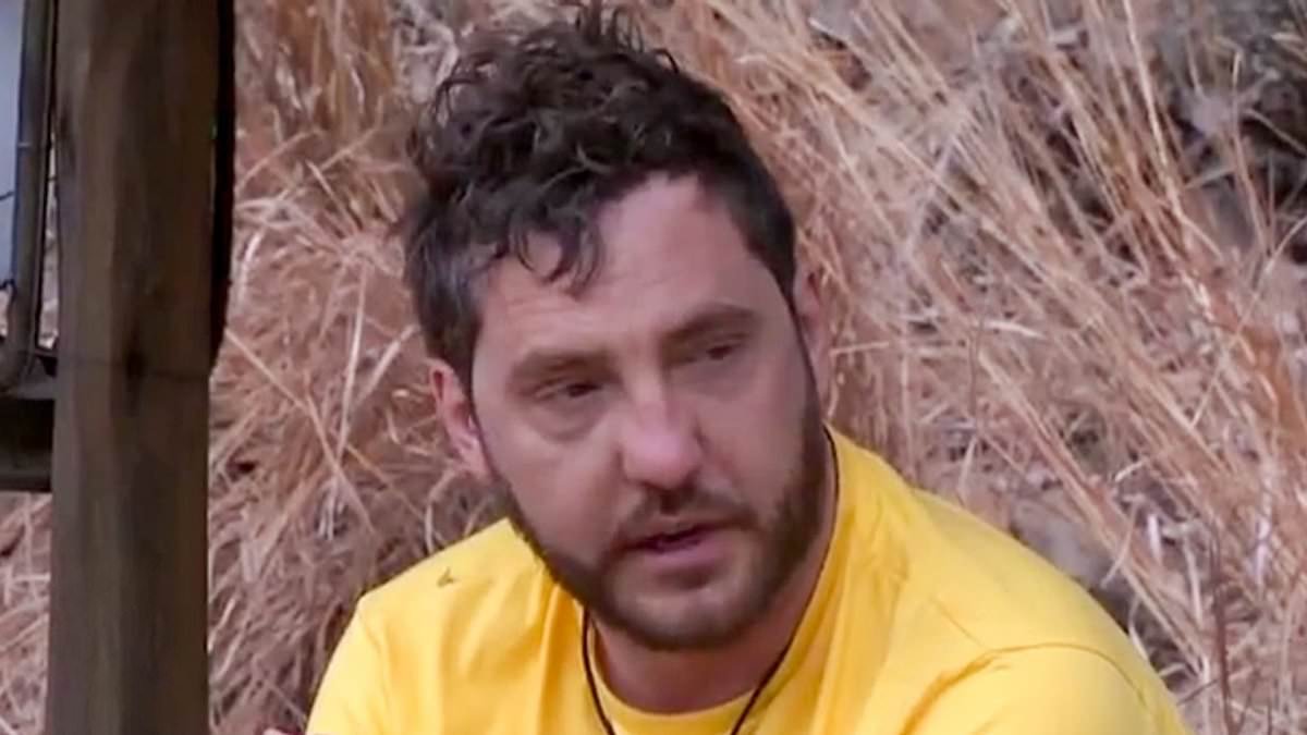I'm A Celebrity's Seann Walsh brands his former ITV co-stars 'useless' as he hits out at 'hellhole' camp following show exit - revealing All Stars series was 'harder and scarier' than ever