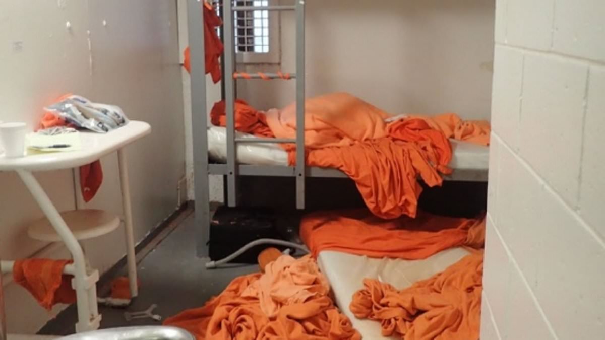 Doctor at Jeffrey Epstein's post mortem says the paedophile was strangled and NOT hanged