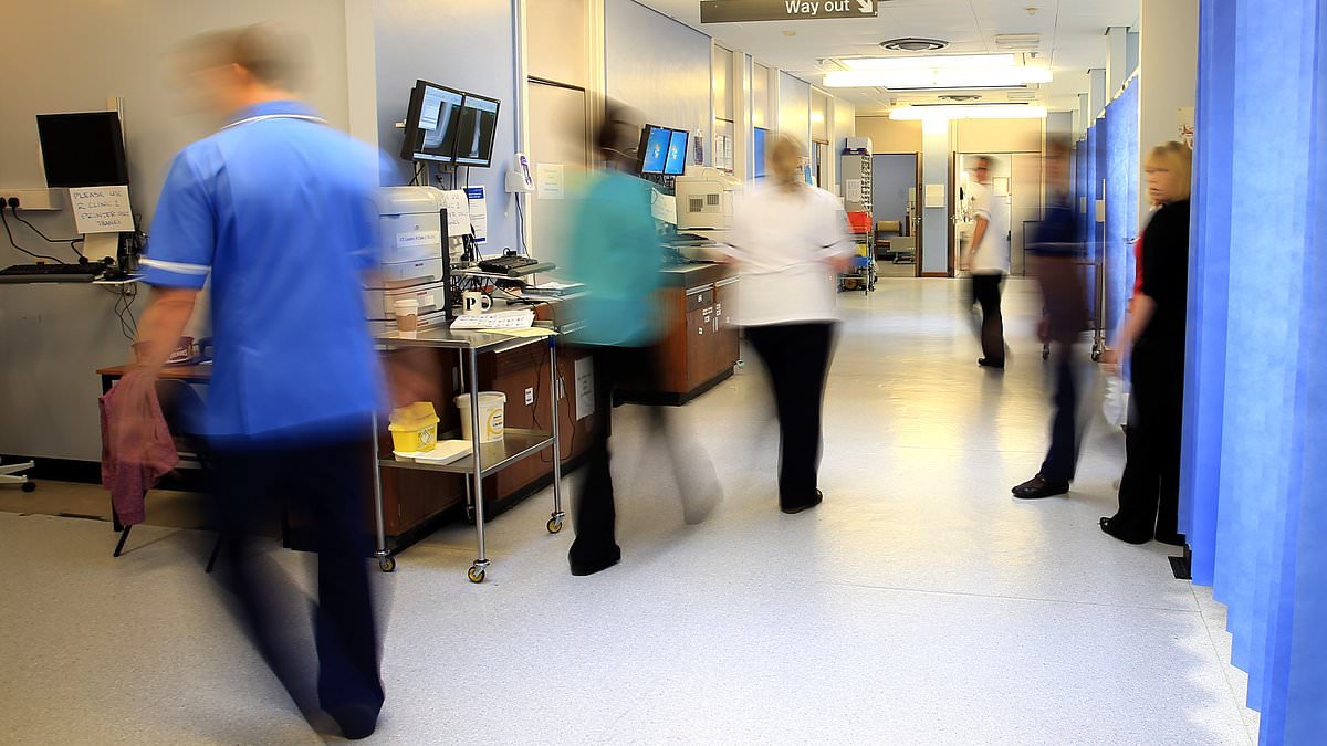 Patients left 'languishing on waiting lists' as NHS staff take record 8million days off for anxiety and stress