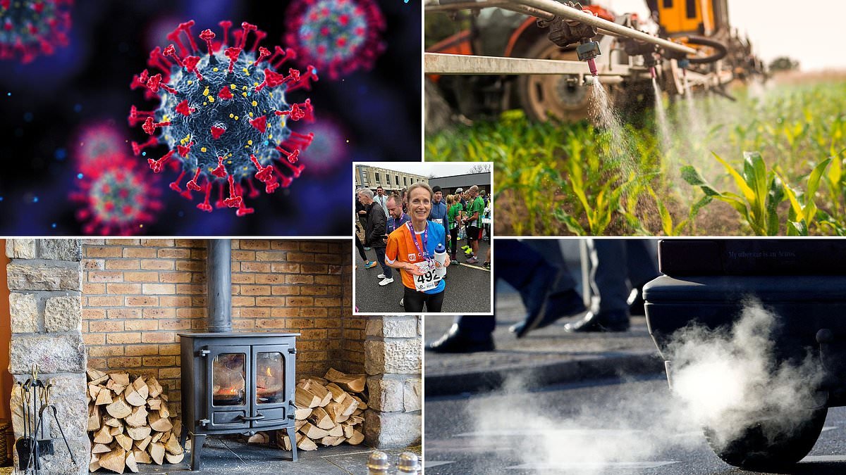 Experts sound major alarm over next 'man-made pandemic' that leads to a deadly degenerative brain disease and is linked to golf courses, woodburners and traffic fumes. But there are simple ways to protect yourself