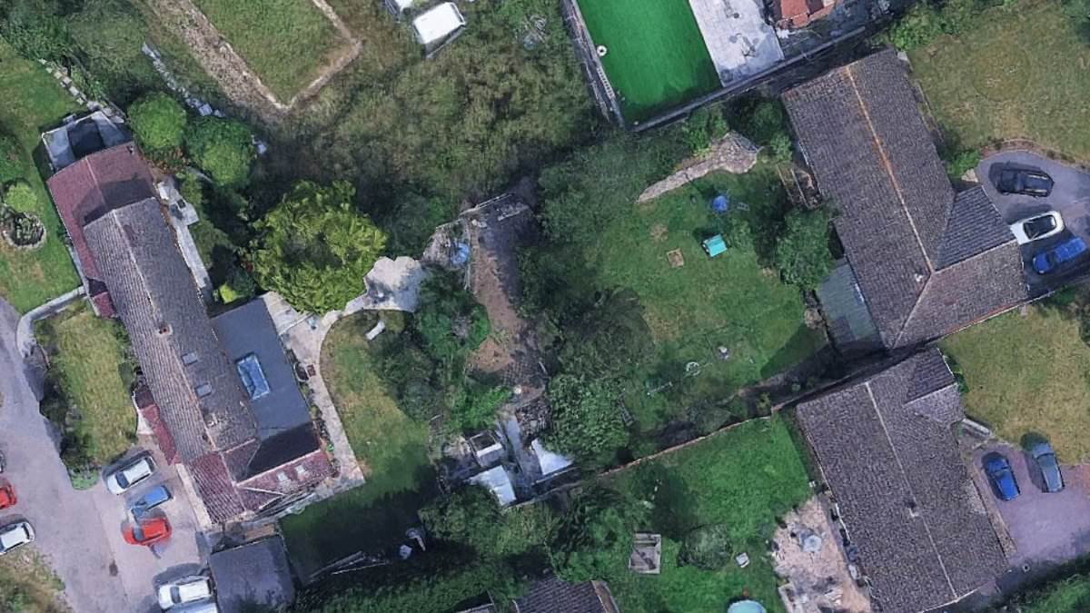 Siblings who went into neighbour's garden to hack down their 33-foot Leylandiis face £250,000 bill after being successfully sued