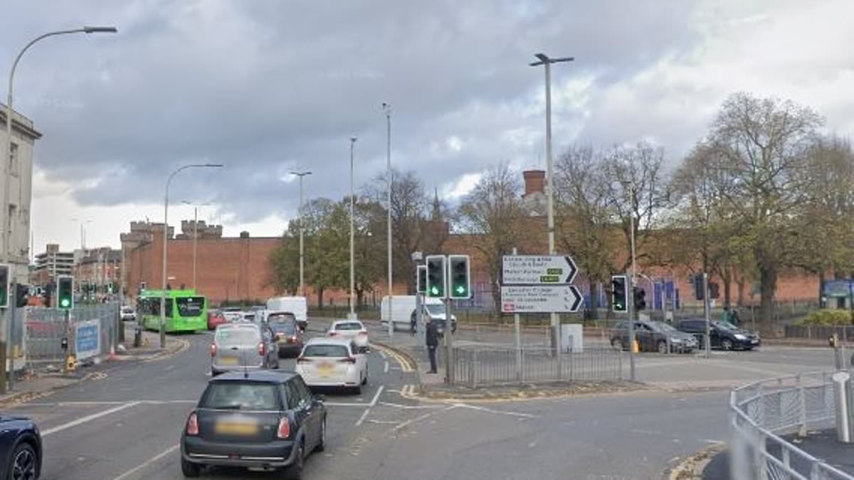 Drug dealer who kicked mother, 56, to death at random after crashing his car while high on cannabis is found guilty of murder