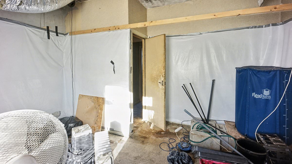 Live the high life! Mid-terraced house sells for bargain £65,000... because it used to be drugs factory