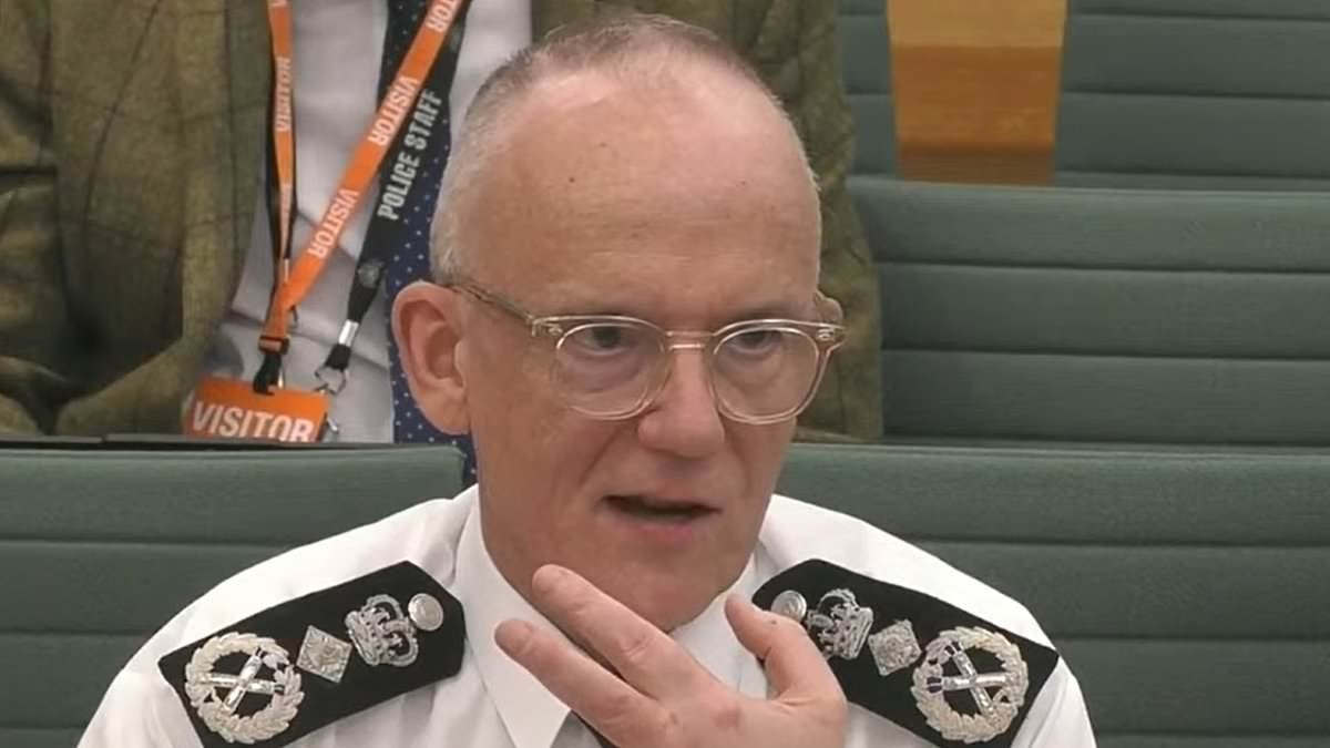 Met Commissioner blames shoplifting epidemic on storekeepers for not reporting the crimes