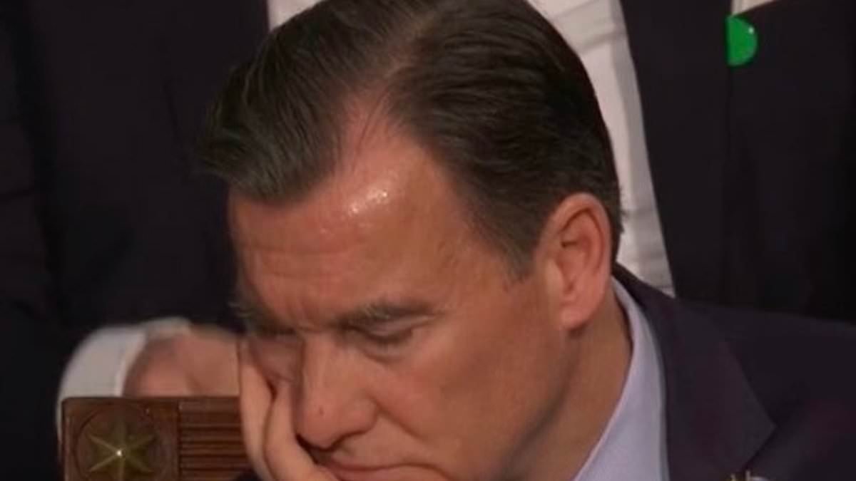 Democrats caught dozing off during Trump's SOTU as Tom Suozzi complains about 'staying awake watching reruns'