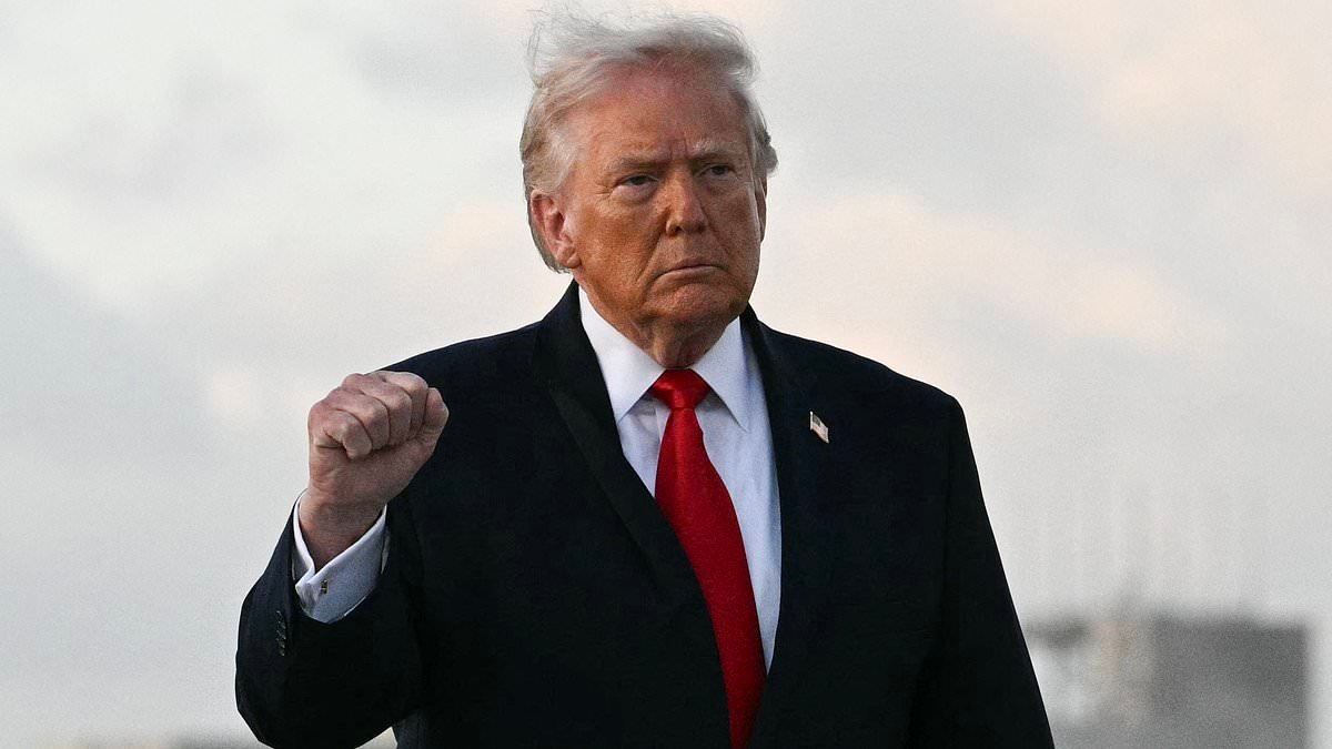 'Judge him on what he does, not what he says': Labour's Wes Streeting tells Brits to ignore Donald Trump's 'outrageous' posts as he admits UK-US relations are 'strained'