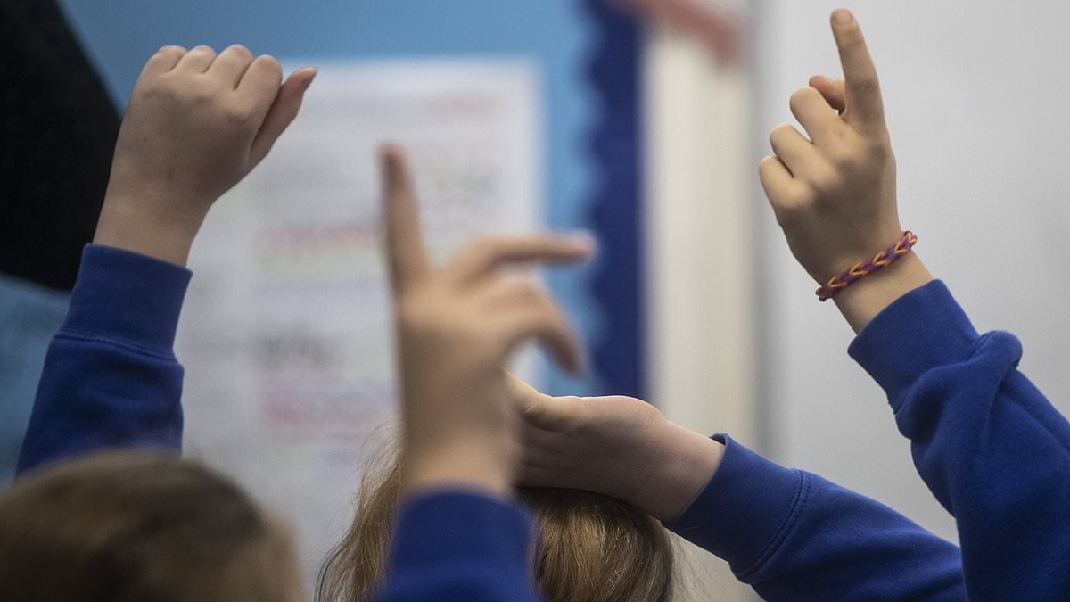 Four in five councils face bankruptcy due to rocketing bills for special educational needs