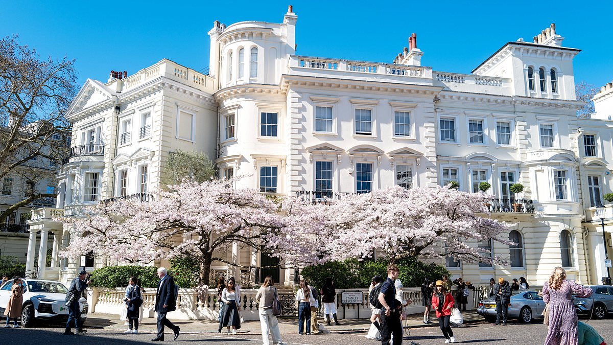 Spring has officially sprung in Notting Hill as army of influencers descend to get their Insta-perfect snaps taken in front of blossoming trees