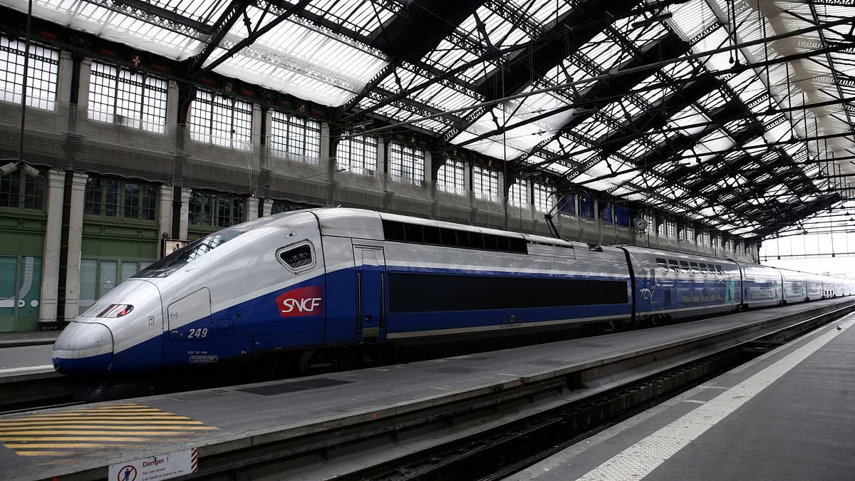 New child-free carriages on French trains spark backlash