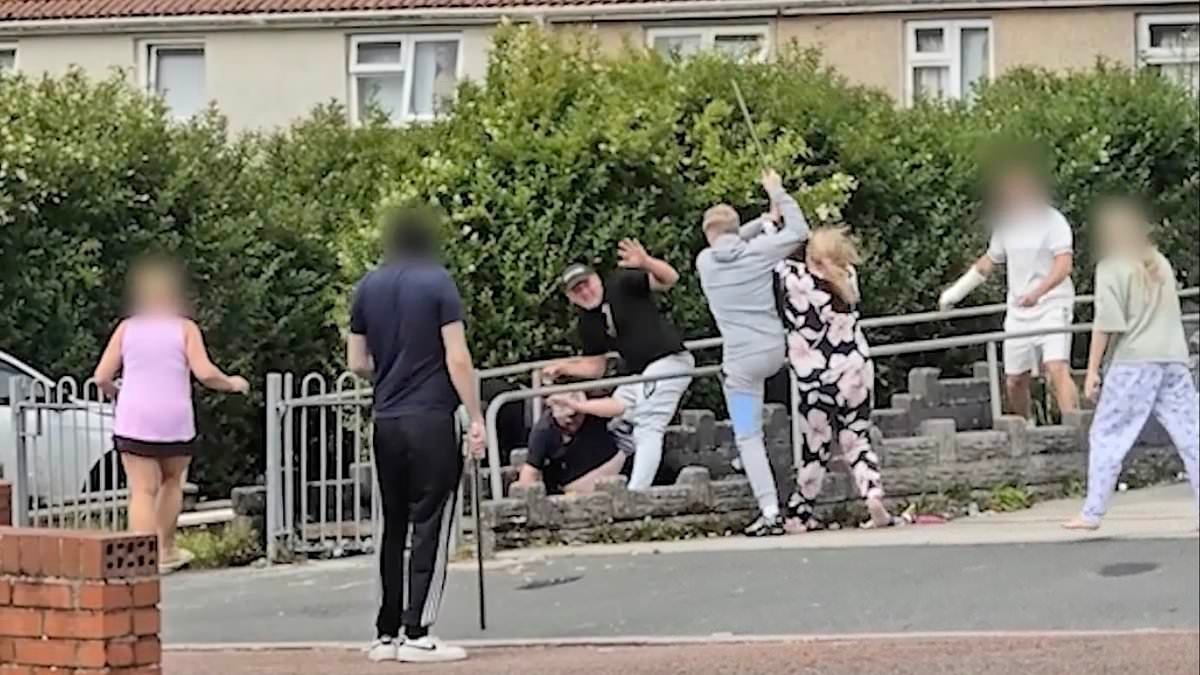 Moment family armed with plank studded with nails and metal pole fight with neighbours over drug dealing claims