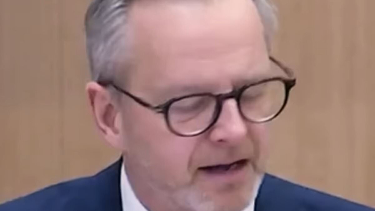 'Our economy is Spursy... loads of opportunities and no results!' Swedish politician takes bizarre swipe at Premier League strugglers Tottenham as they fight relegation