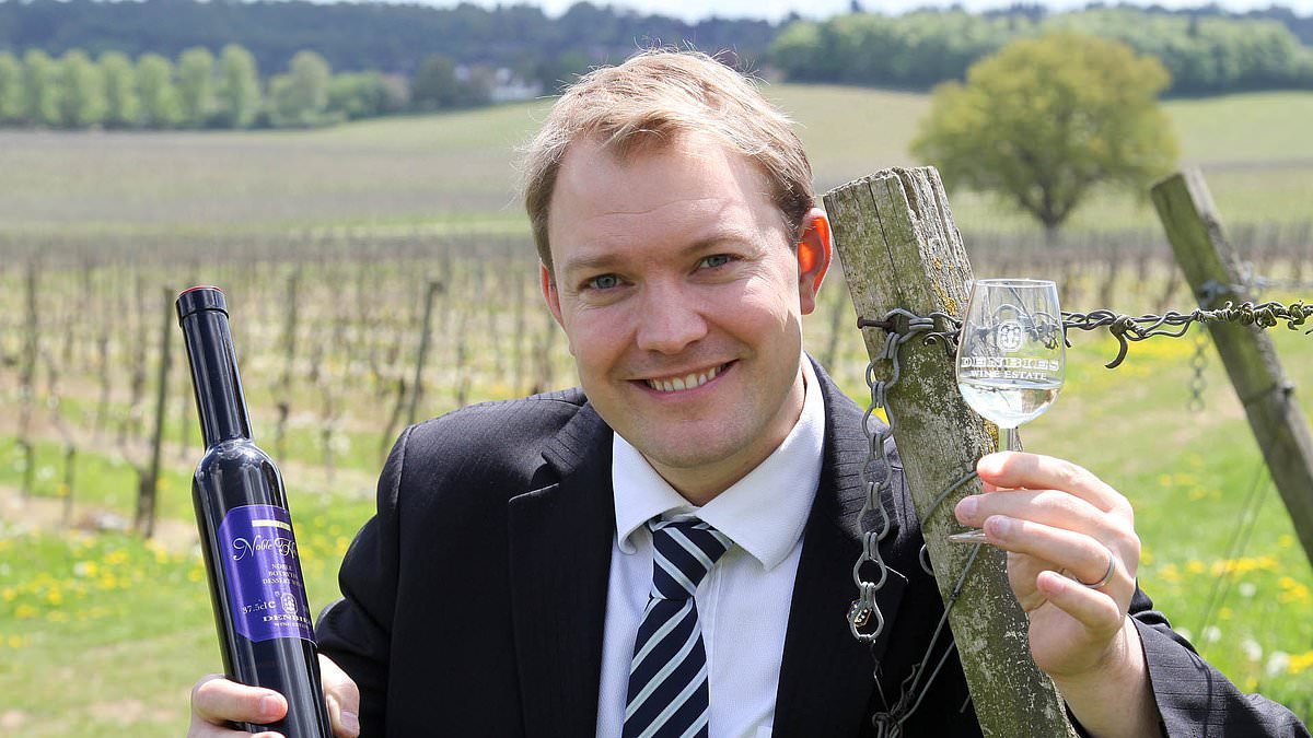 Vineyard's sour grapes over Labour tax grab: Denbies boss voices concerns for booming sector
