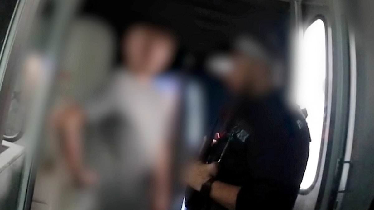 Moment controlling boyfriend is handcuffed and arrested on plane after throwing prosecco in partner's face and threatening to kill her in airport row