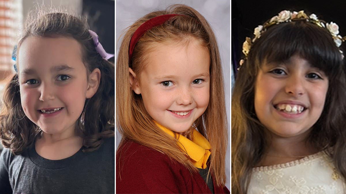 Southport inquiry expected to criticise bungling public bodies who failed to stop killer before he murdered three girls