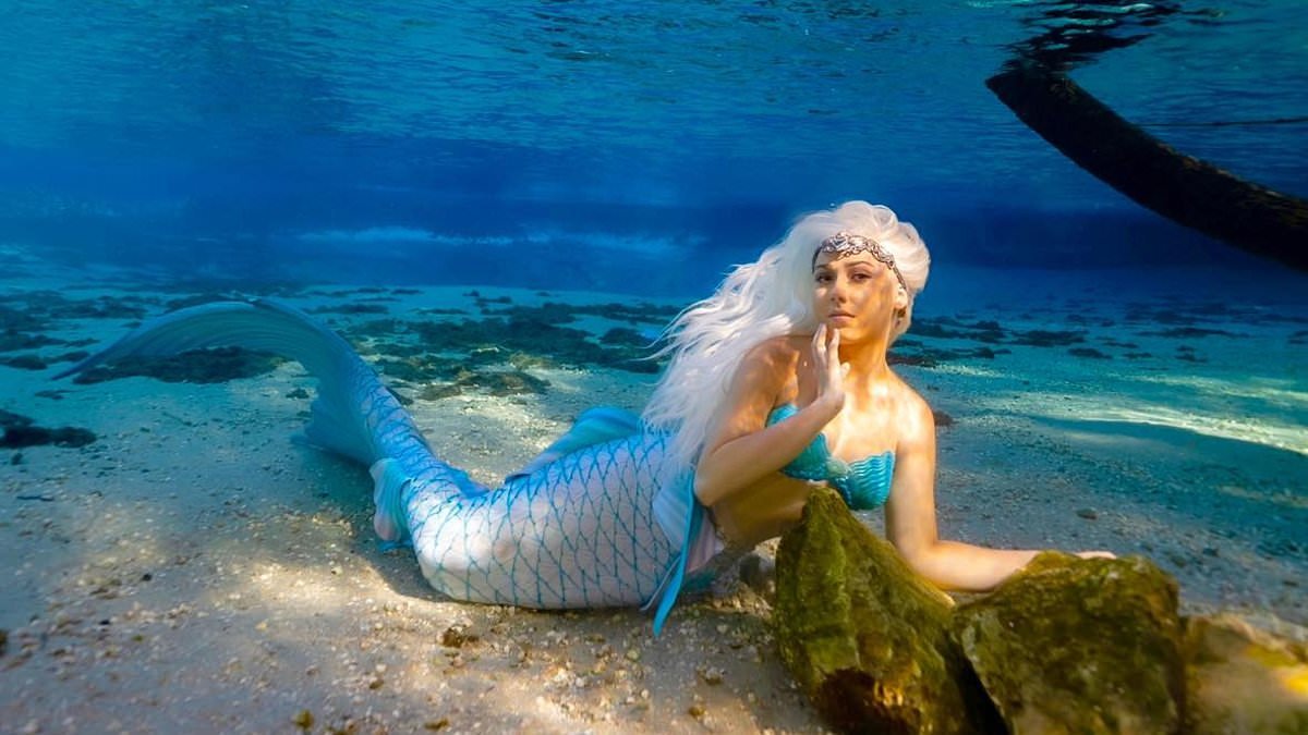 Inside the lives of the real-life 'mermaids' around the world - from £6,000 tails to swimming in freezing British waters